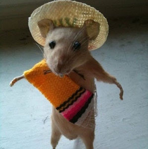 Meet your Posher, Eduardo